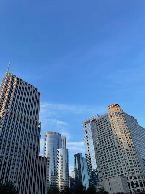 Downtown Chicago pt. I