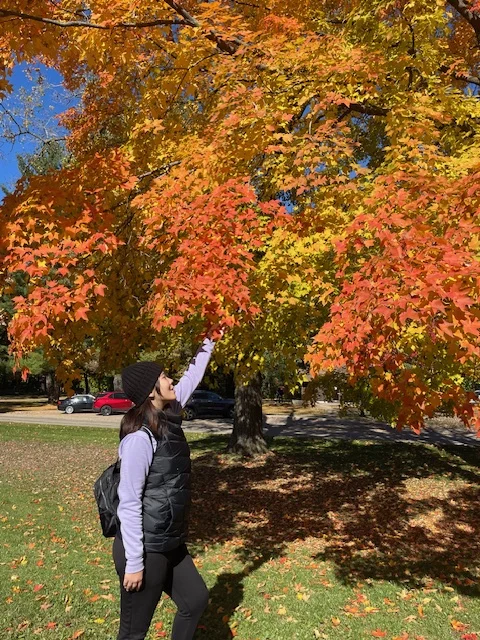 Devil's Lake State Park foliage