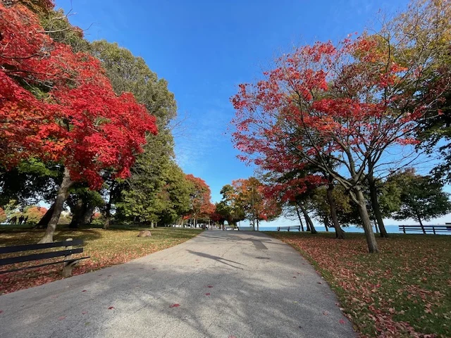 Lake Michigan, Chicago