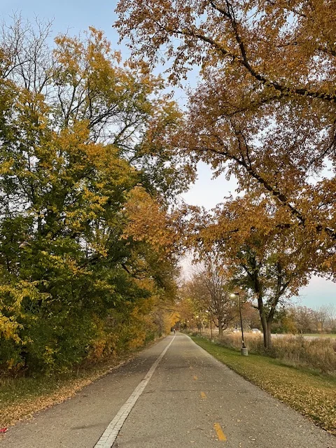 Pedestrian walkway near home