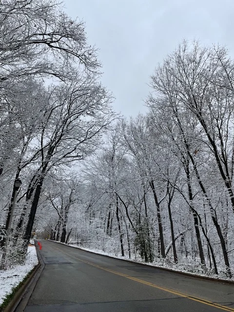 The view while waiting for the bus