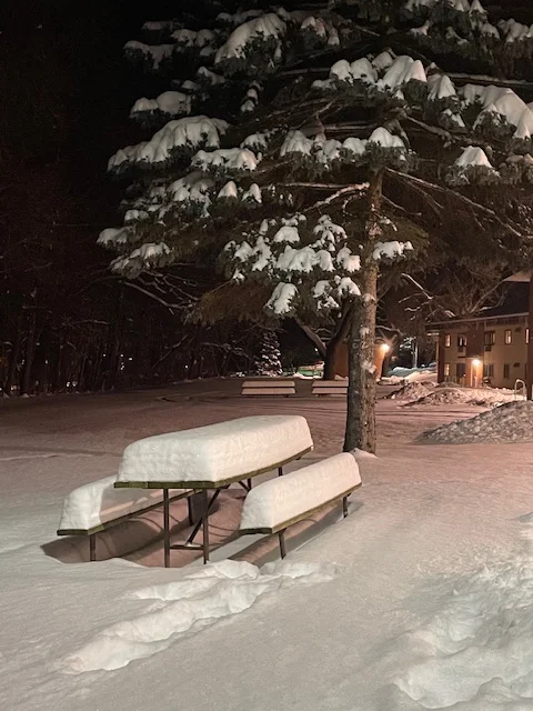 The aftermath pt. II